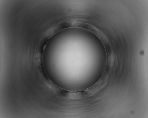 X0000103320571200809051150