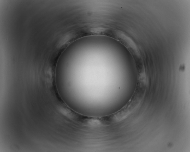 X0000103320572200809051150