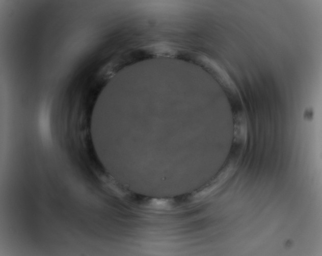 X0000103320573200809051150