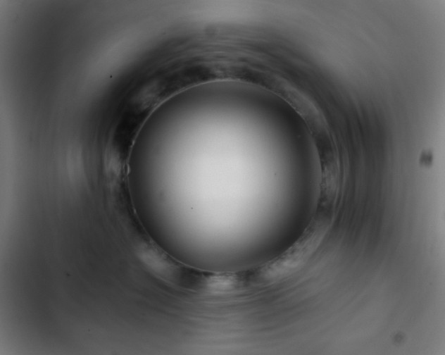 X0000103320574200809051150