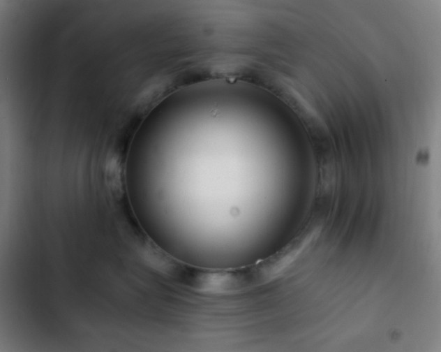 X0000103320575200809051150