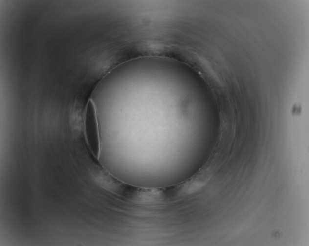 X0000103320576200809051150