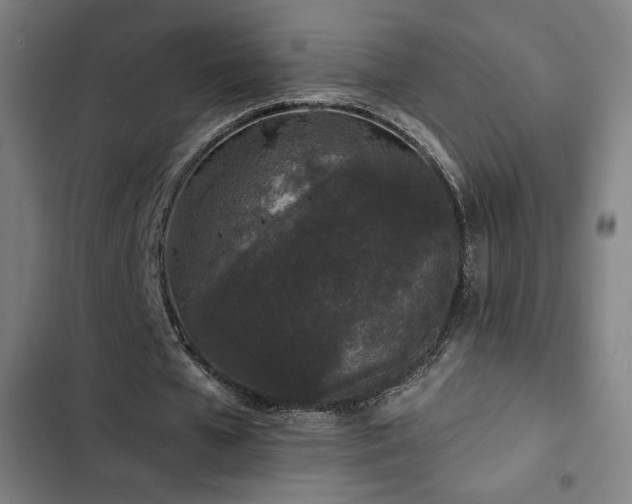 X0000103320577200809051149