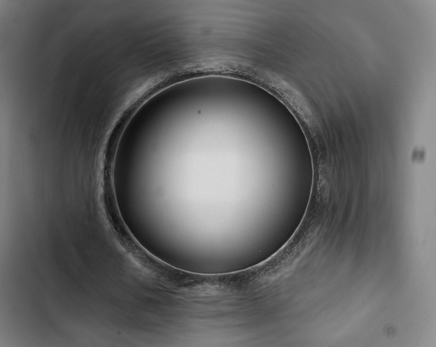 X0000103320578200809051149