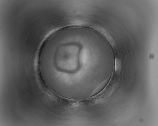 X0000103320579200809051149