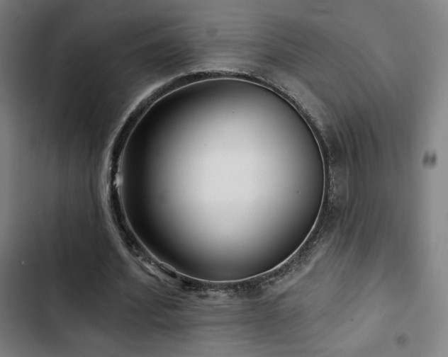 X0000103320580200809051149