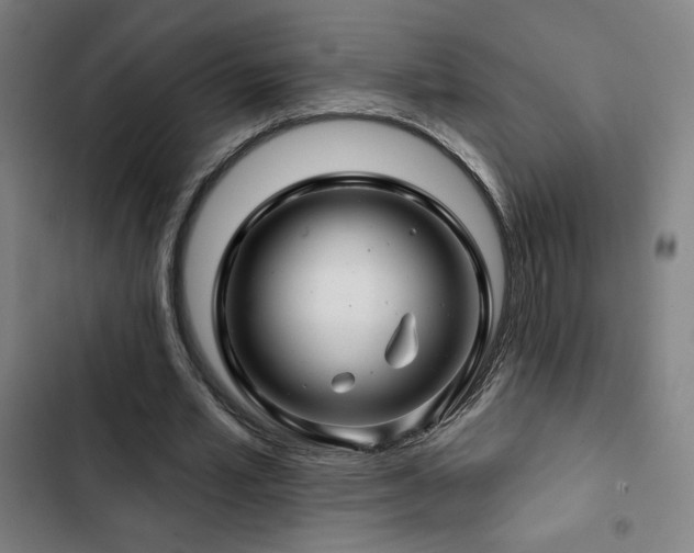 X0000103320581200809051149