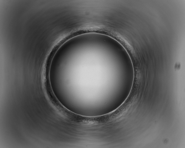 X0000103320582200809051149