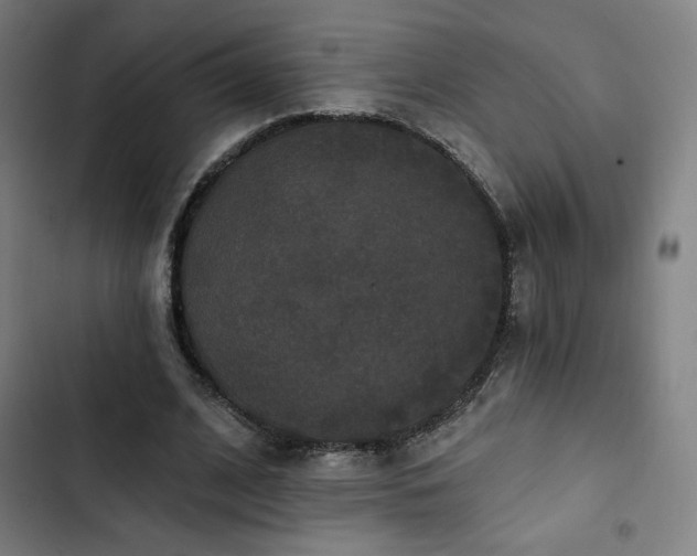 X0000103320584200809051149