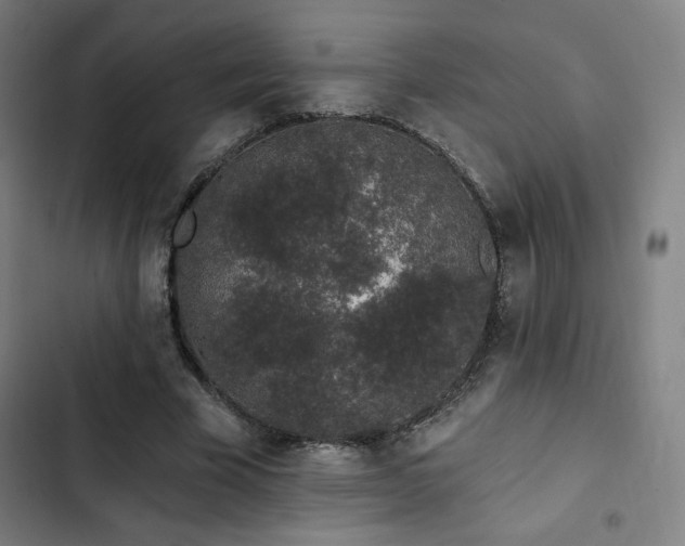 X0000103320585200809051149