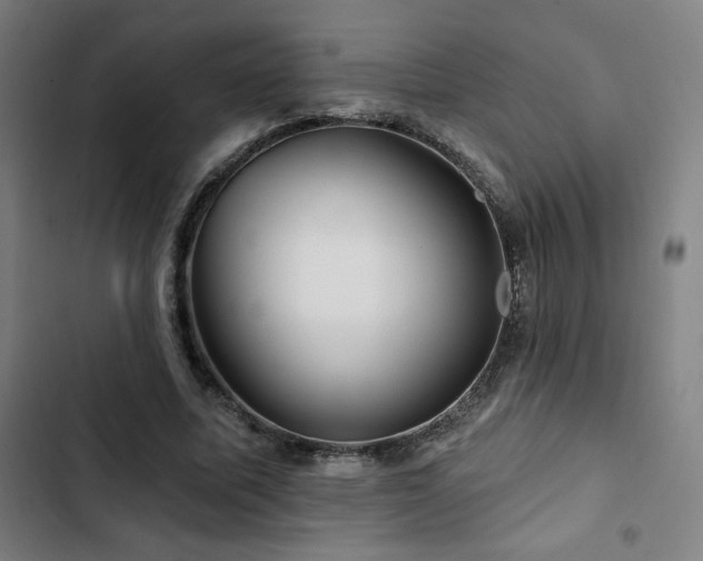 X0000103320587200809051149