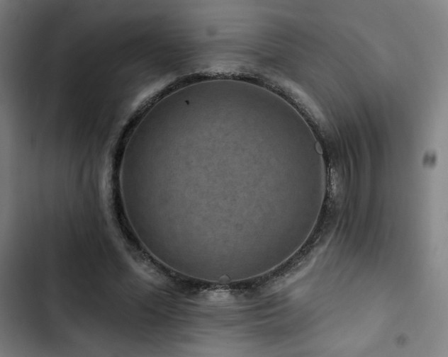 X0000103320588200809051149