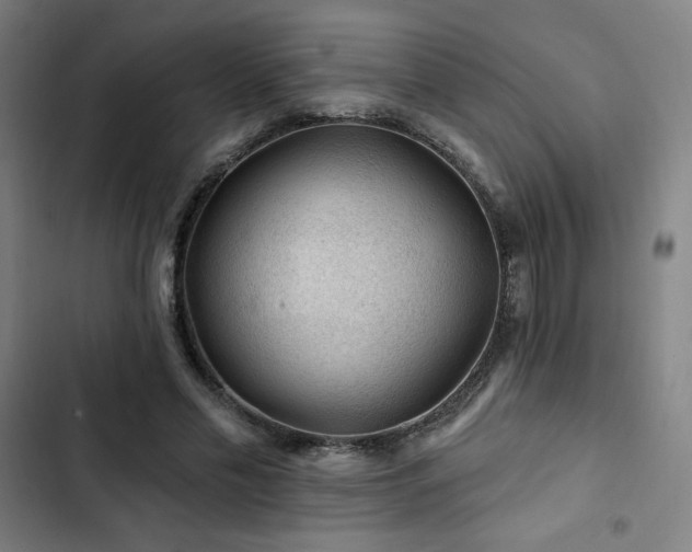 X0000103320589200809051149