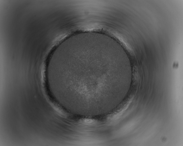 X0000103320590200809051149