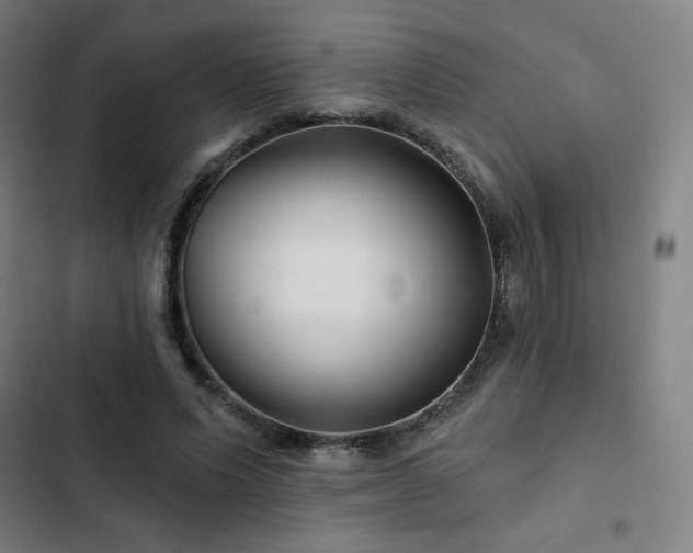 X0000103320591200809051149