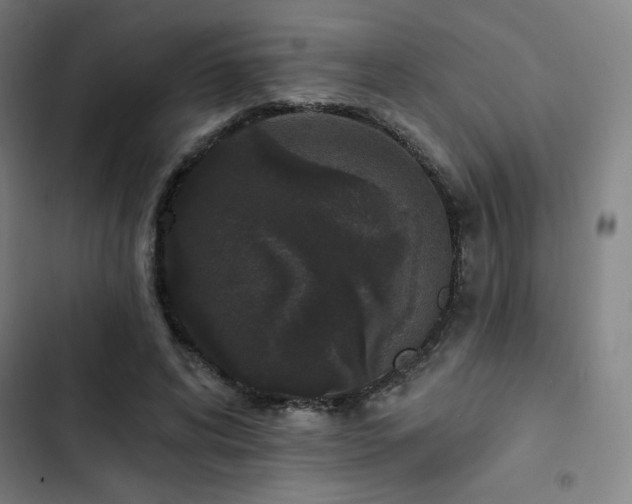 X0000103320592200809051149