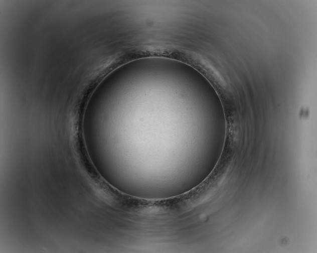 X0000103320593200809051149