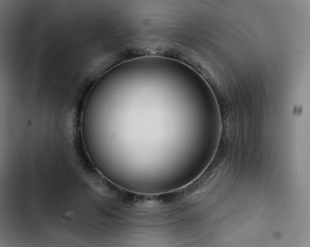 X0000103320594200809051149