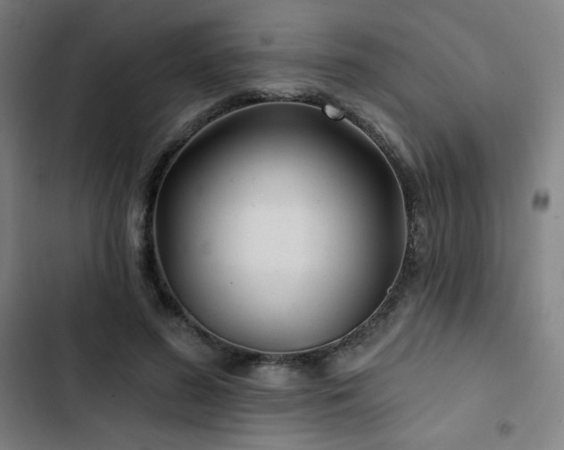 X0000103320596200809051149