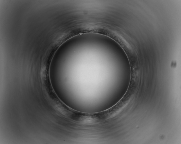 X0000103320597200809051149