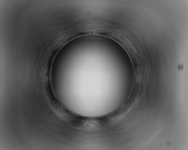 X0000103320599200809051149