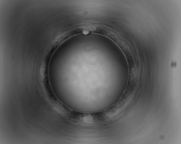 X0000103320600200809051149