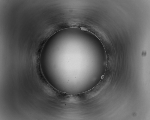 X0000103320601200809051149