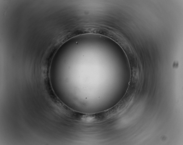 X0000103320602200809051149