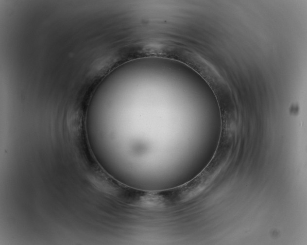 X0000103320603200809051149