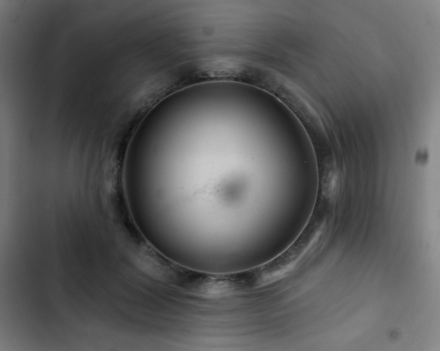 X0000103320604200809051149