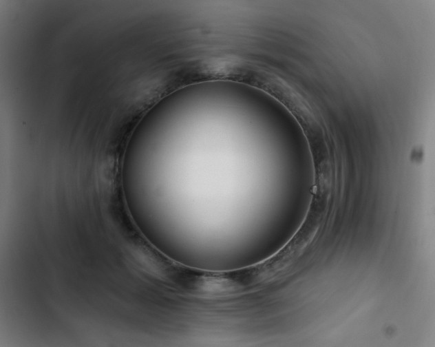 X0000103320605200809051149