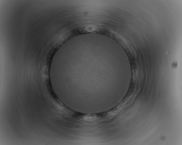 X0000103320606200809051149