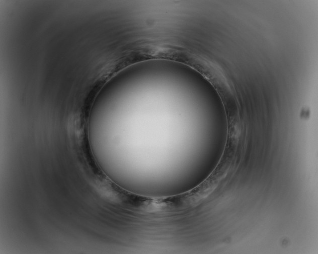 X0000103320607200809051149