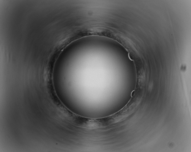 X0000103320608200809051149