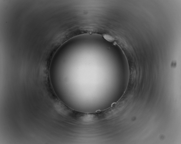 X0000103320609200809051149