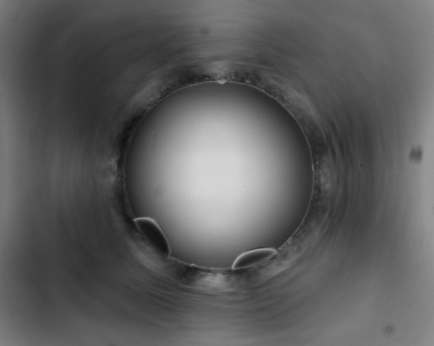 X0000103320611200809051149