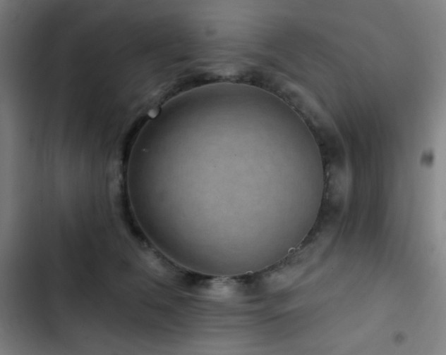 X0000103320612200809051149