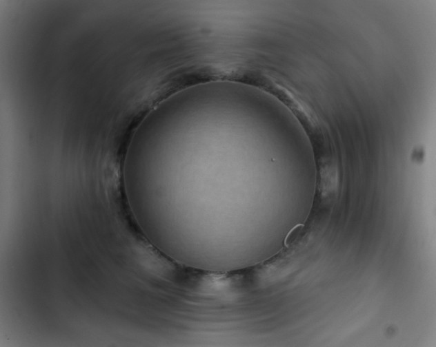 X0000103320613200809051149