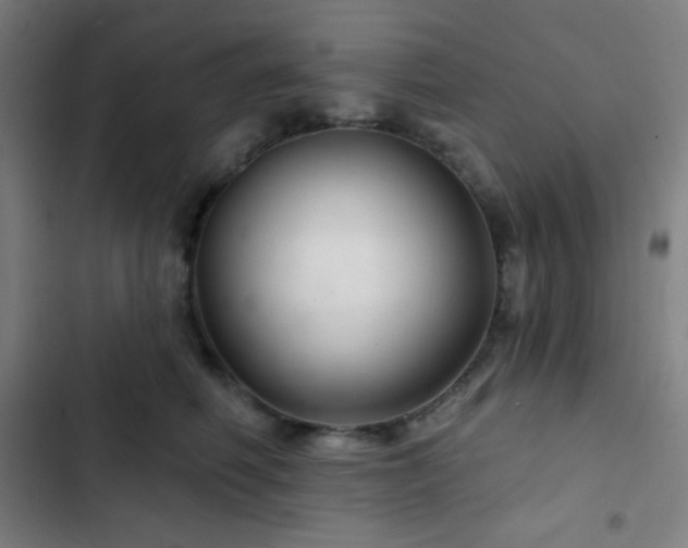 X0000103320614200809051149