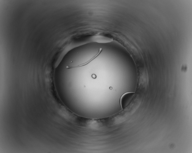 X0000103320616200809051148
