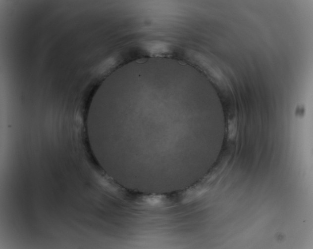 X0000103320618200809051148