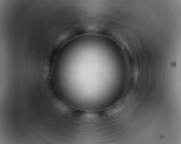 X0000103320619200809051148