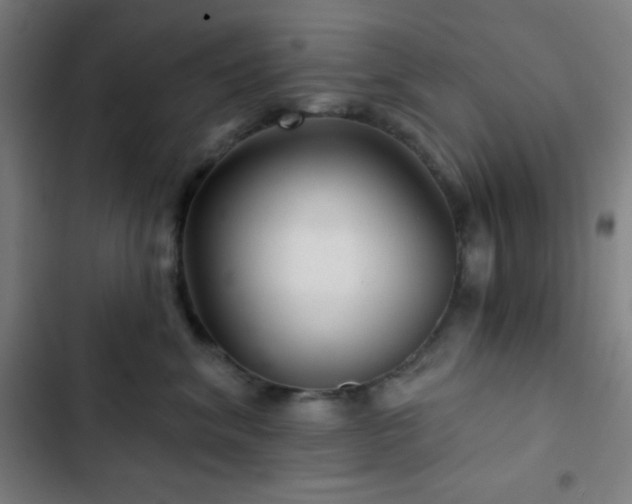 X0000103320620200809051148