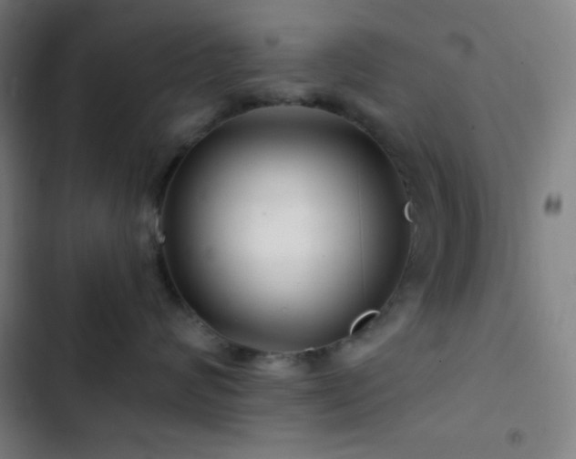 X0000103320624200809051148
