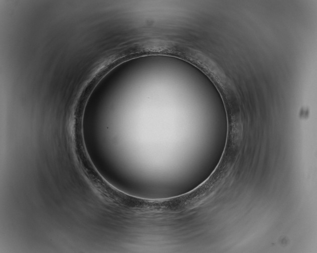 X0000103320626200809051148