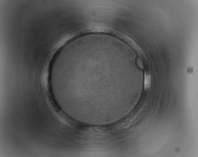 X0000103320627200809051148