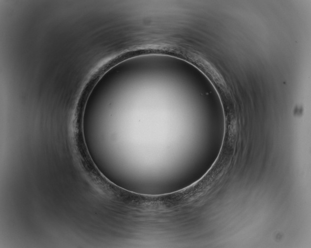 X0000103320628200809051148