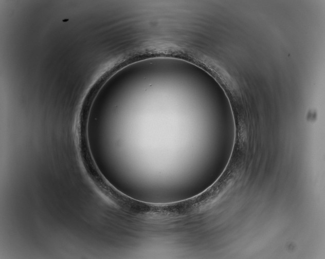 X0000103320630200809051148