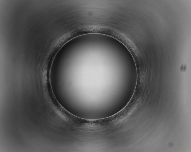 X0000103320633200809051148