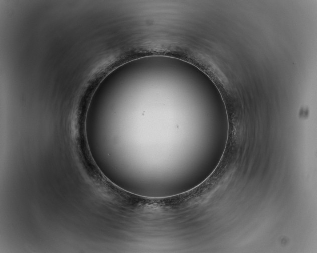X0000103320635200809051148